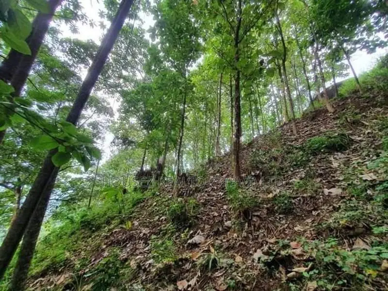 109 Perch Scenic Land for Sale – Kegalle (Rambukkana Road)