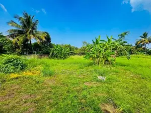 Land for Sale in Wattala