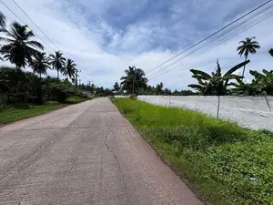 Land for Sale in Pamunugama