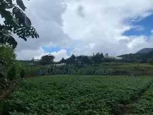 58 perches Land for sale in NuwaraEliya - Blackpool-Ambewela Road