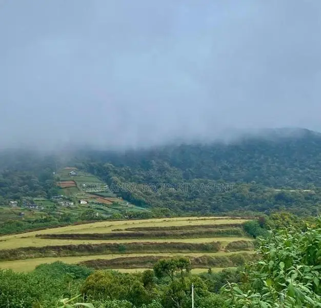 58 perches Land for sale in NuwaraEliya - Blackpool-Ambewela Road