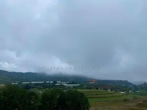 58 perches Land for sale in NuwaraEliya - Blackpool-Ambewela Road