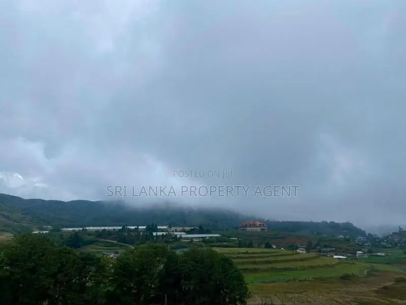 58 perches Land for sale in NuwaraEliya - Blackpool-Ambewela Road