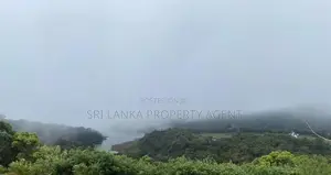 58 perches Land for sale in NuwaraEliya - Blackpool-Ambewela Road