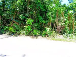 Valuable Land for Sale – Galle, Karapitiya Area
