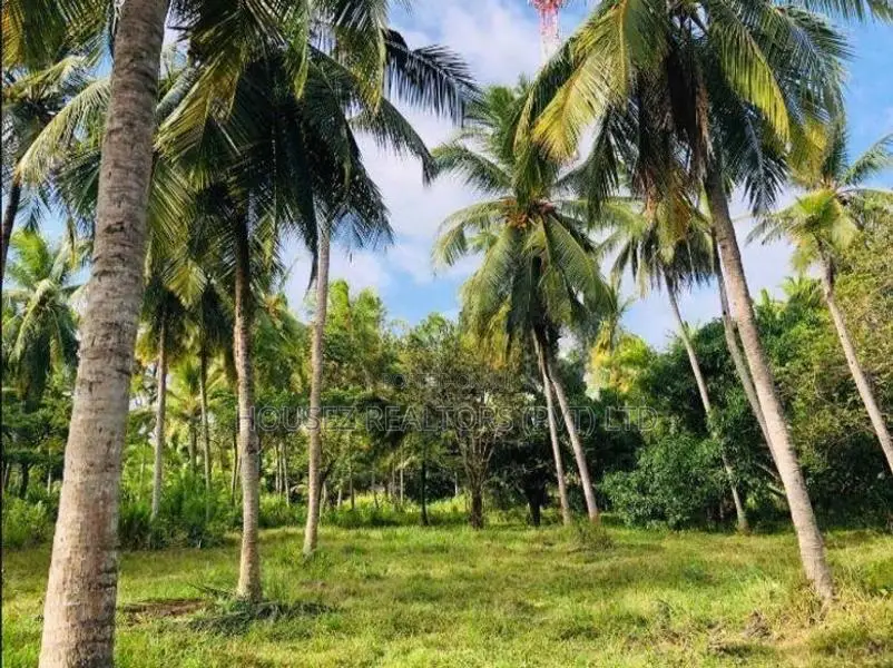 Land for Sale Near Kaluwila Wewa – Hindogama, Anuradhapura