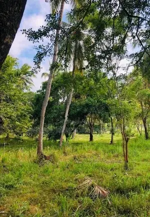 Land for Sale Near Kaluwila Wewa – Hindogama, Anuradhapura