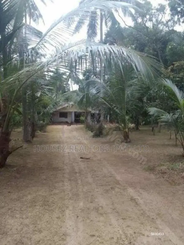 Valuable Coconut Estate with Two Houses for Sale – Sandalankawa