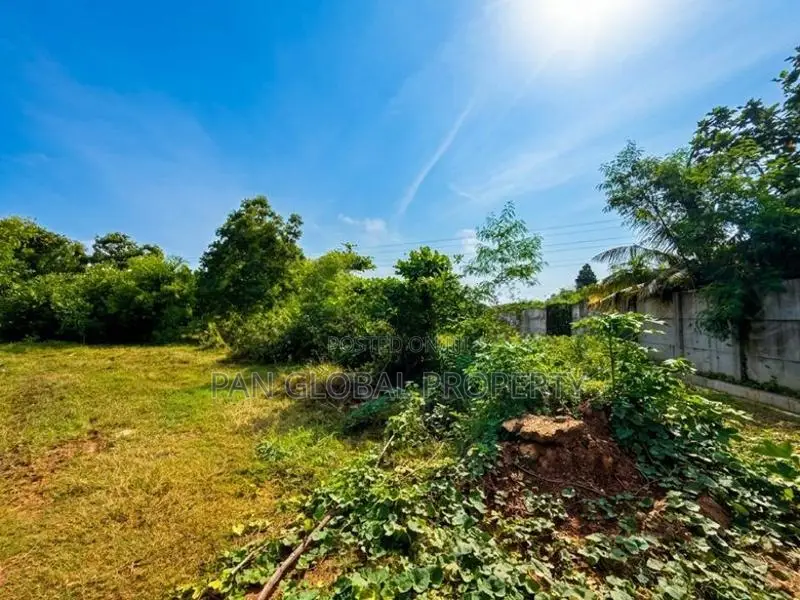 Commercial Land for Sale in Wattala
