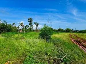 Commercial Land for Sale in Ja - Ela