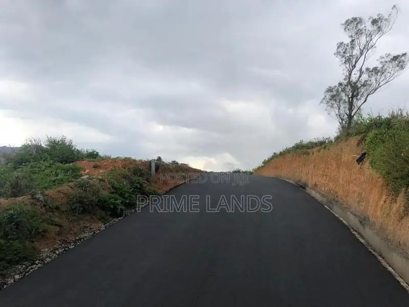 Land Nuwaraeliya