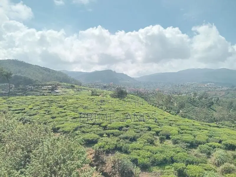 Land Nuwaraeliya