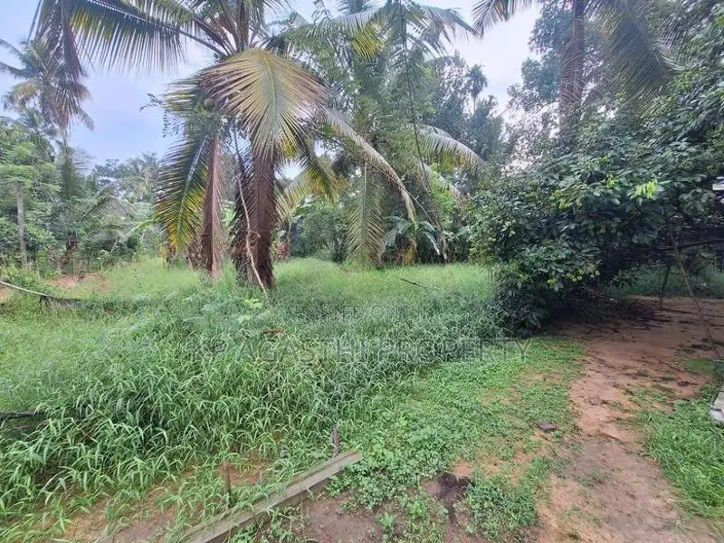 වටරෙක මිගොඩින් ඉඩමක් විකිනිමට තිබේ