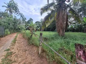 වටරෙක මිගොඩින් ඉඩමක් විකිනිමට තිබේ