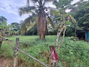 වටරෙක මිගොඩින් ඉඩමක් විකිනිමට තිබේ