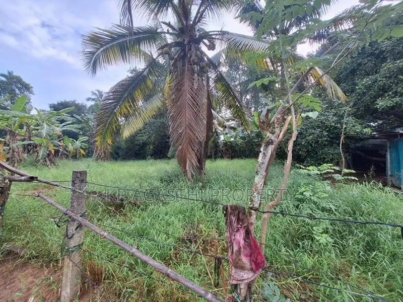වටරෙක මිගොඩින් ඉඩමක් විකිනිමට තිබේ