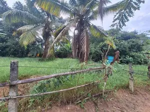 වටරෙක මිගොඩින් ඉඩමක් විකිනිමට තිබේ