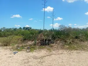 (AF966) Beach Facing 106 P Land Sale At Usangoda Ambalantota