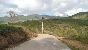 Upper glenloch Campsite Road Nuwaraeliya