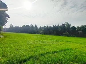 Paddy Field View Land for Sale Kadawatha