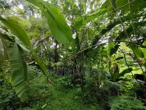 Paddy Field View Land for Sale Kadawatha
