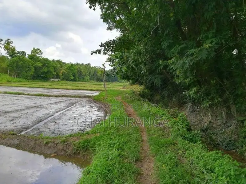 Paddy Field View Land for Sale Kadawatha