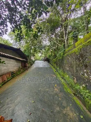 Paddy Field View Land for Sale Kadawatha