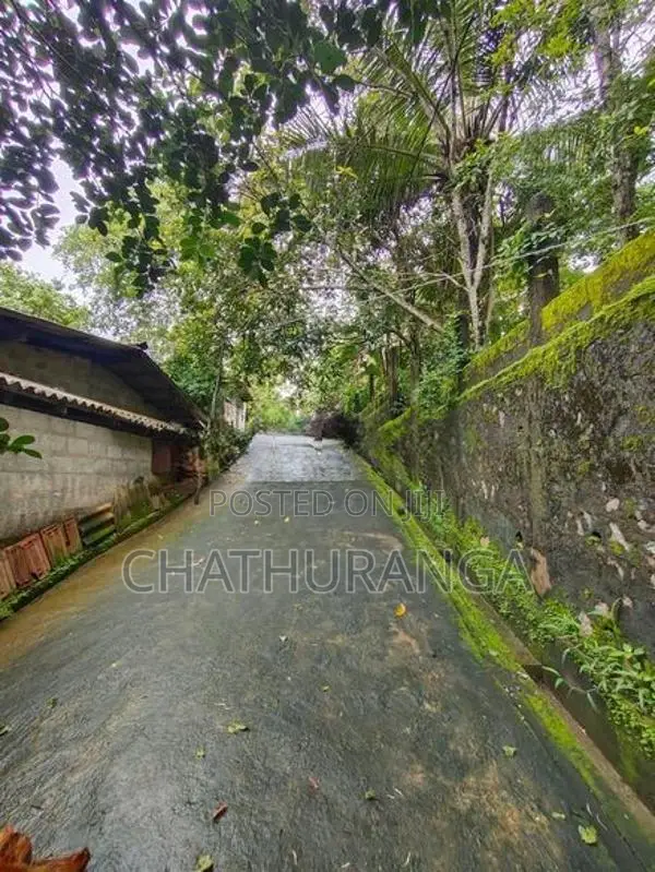 Paddy Field View Land for Sale Kadawatha