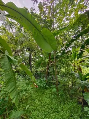 Paddy Field View Land for Sale Kadawatha