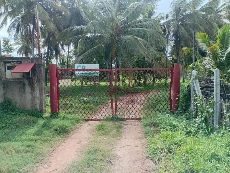 Coconut Land For Sale