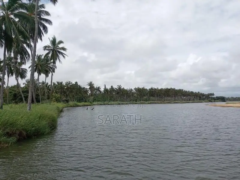 Coconut Land For Sale