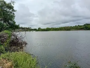 Coconut Land For Sale