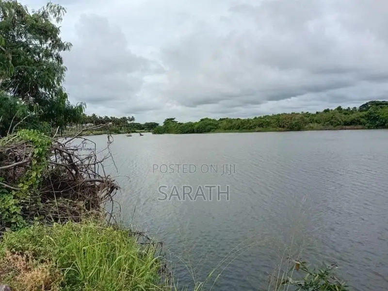 Coconut Land For Sale
