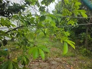 40 Perches Land Sale in Dehiwala