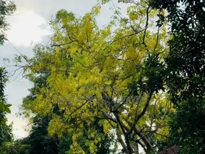 (AFA261) 40 P Land Sale At l Mirihana Nugegoda…