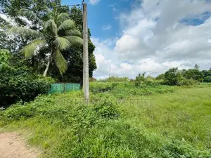 (AFA263) 88 P Land for Sale - Diyagama Moragahahena Road Homagama