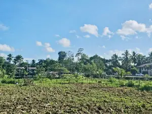(AFA263) 88 P Land for Sale - Diyagama Moragahahena Road Homagama