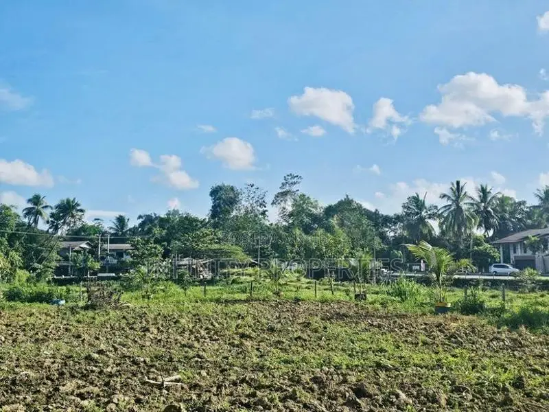 (AFA263) 88 P Land for Sale - Diyagama Moragahahena Road Homagama