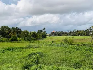 (AF992) 88 P Land for Sale - Diyagama Moragahahena Road Homagama