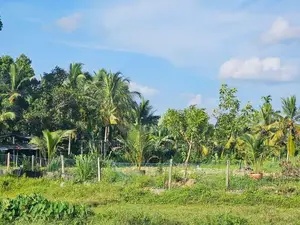 (AF992) 88 P Land for Sale - Diyagama Moragahahena Road Homagama