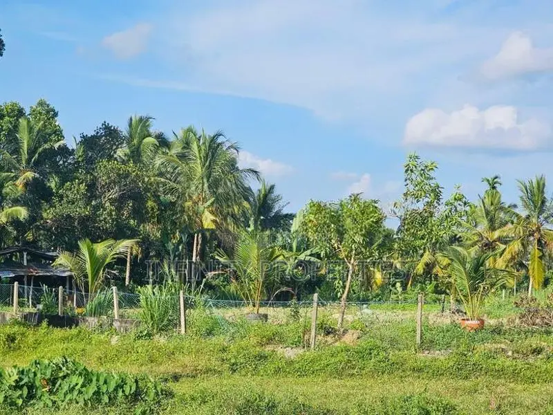 (AF992) 88 P Land for Sale - Diyagama Moragahahena Road Homagama