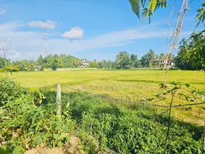 (AF992) 88 P Land for Sale - Diyagama Moragahahena Road Homagama