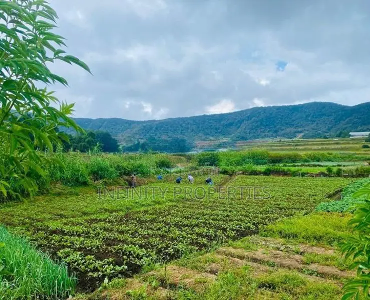 (AF994) 58 perches Land in Nuwara Eliya Hills