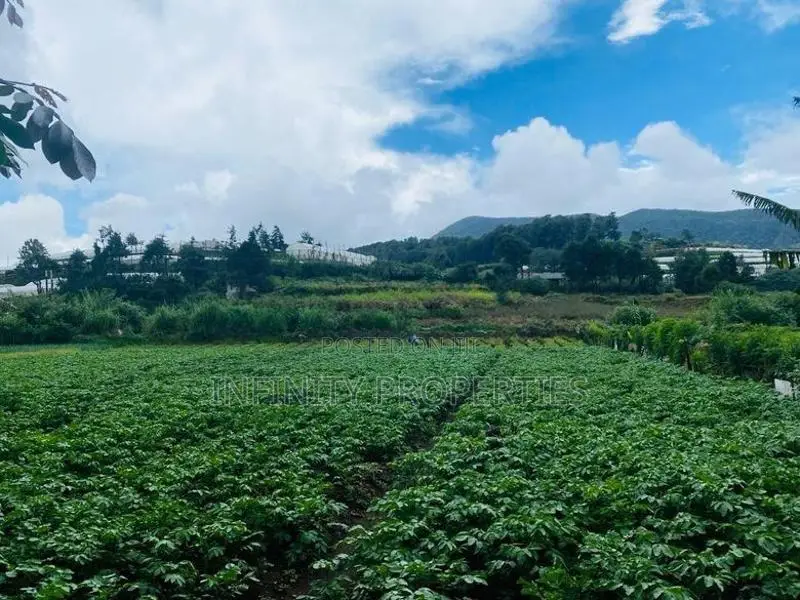 (AF994) 58 perches Land in Nuwara Eliya Hills