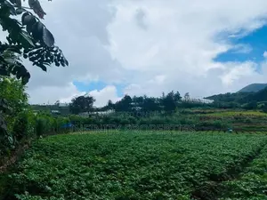 (AF994) 58 perches Land in Nuwara Eliya Hills
