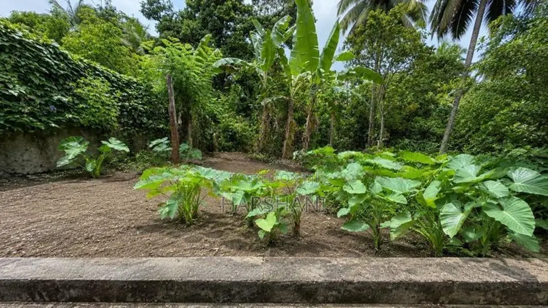 12P Superb High Elevated Land Close to Thalawathugoda Junction