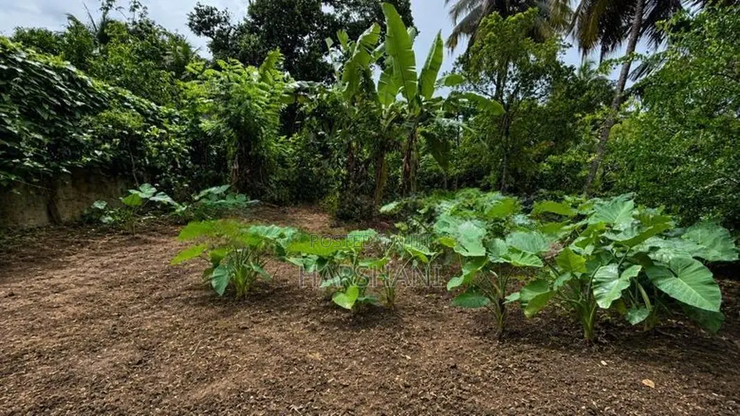 12P Superb High Elevated Land Close to Thalawathugoda Junction