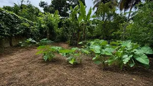 12P Superb High Elevated Land Close to Thalawathugoda Junction