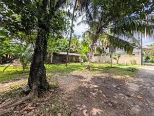 Land for Sale in Colonel Avenue, near Bellanthota Junction