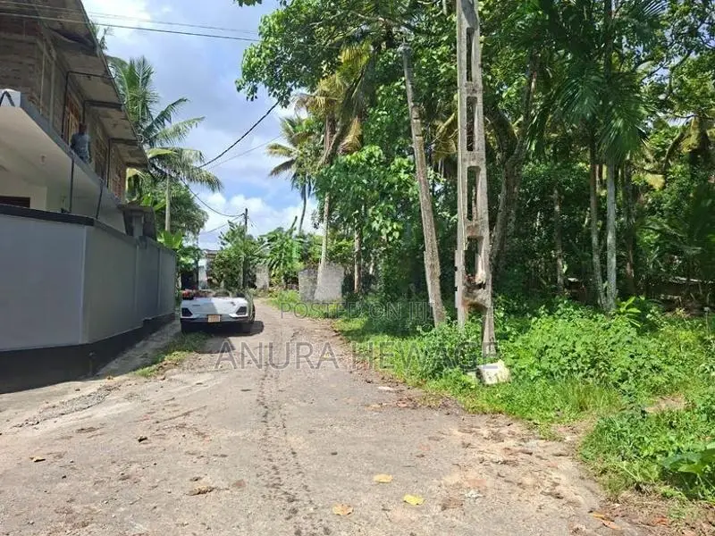 කඩුවෙල, පහළ බොමිරිය ප්‍රදේශයෙන් ඉඩමක් විකිණීමට ඇත. (ID : KADU014S)